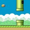 Clumsy Bird