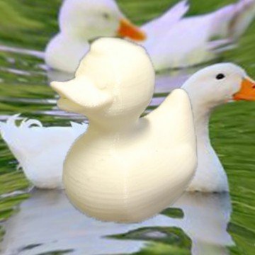 Cute Duck 3D